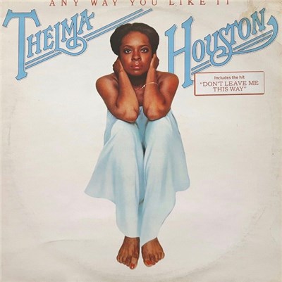Thelma Houston - Any Way You Like It download mp3 flac