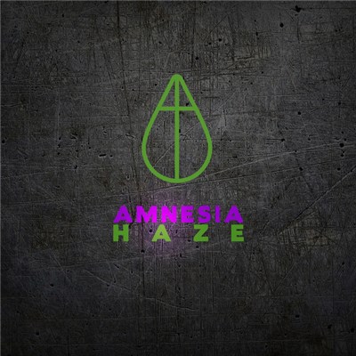Doktor Sterben - Amnesia Haze download mp3 flac