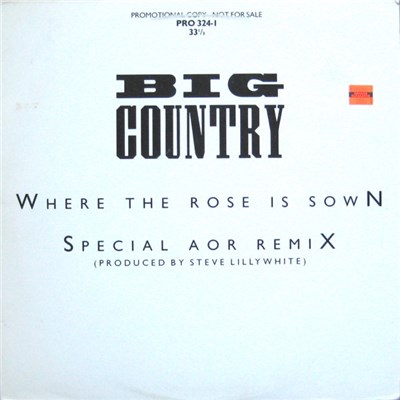 Big Country - Where The Rose Is Sown (Special AOR Remix) download mp3 flac