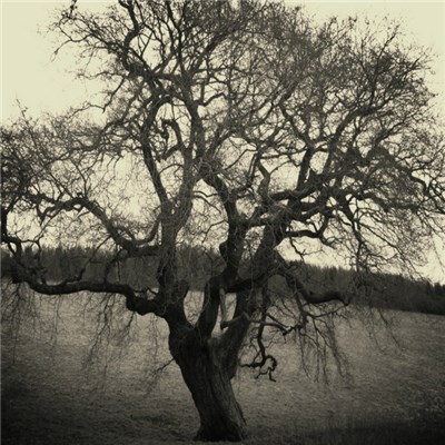 Sorrow Plagues - It Will Never End download mp3 flac