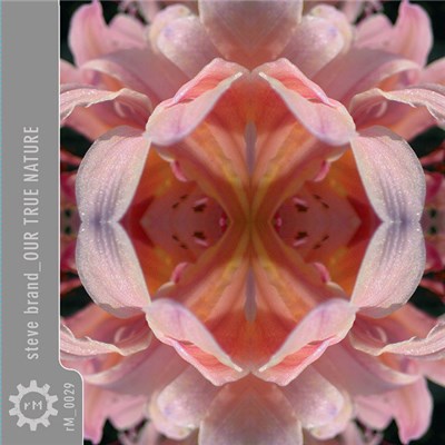 Steve Brand - Our True Nature download mp3 flac
