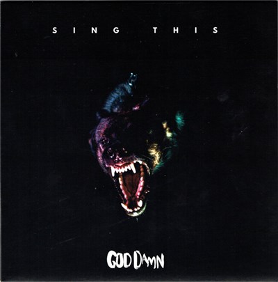 God Damn - Sing This download mp3 flac