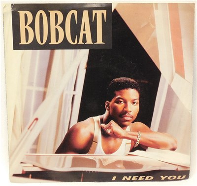 Bobcat - I Need You download mp3 flac