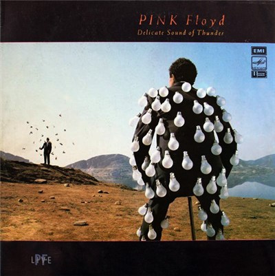 Pink Floyd - Delicate Sound Of Thunder download mp3 flac