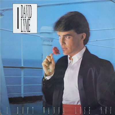 David Lyme - I Don't Wanna Lose You download mp3 flac