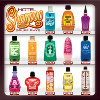 Gruff Rhys - Hotel Shampoo download mp3 flac