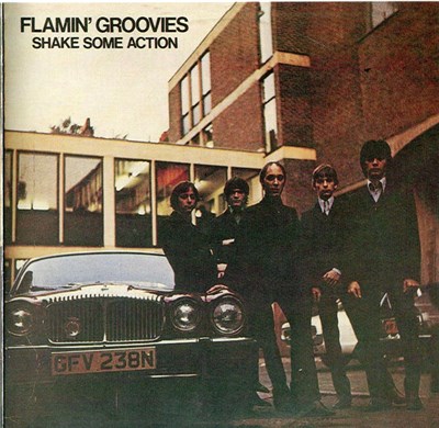 Flamin' Groovies - Shake Some Action download mp3 flac