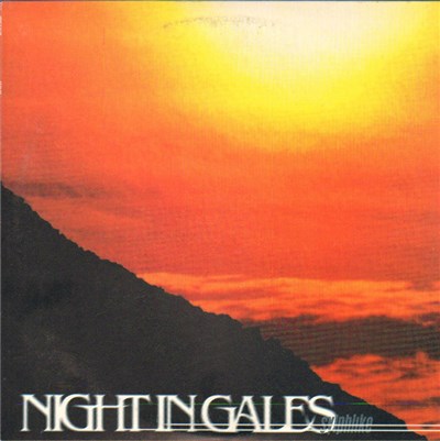 Night In Gales - Sylphlike download mp3 flac