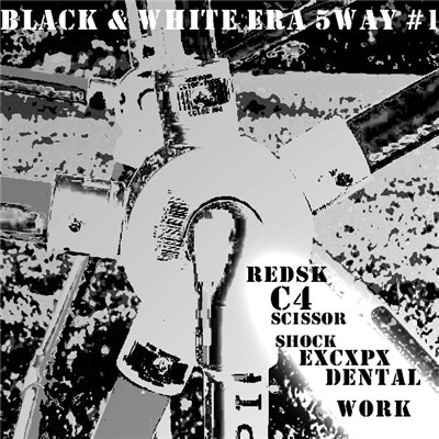 Various - Black & White Era 5way #1 download mp3 flac