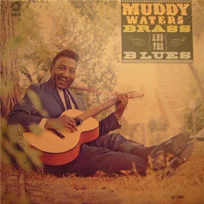 Muddy Waters - Muddy, Brass & The Blues download mp3 flac
