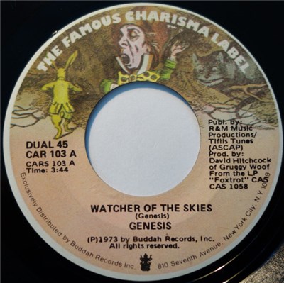 Genesis - Watcher Of The Skies / Willow Farm download mp3 flac