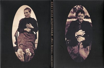Darvulia / Sektarism - Mort Divine download mp3 flac