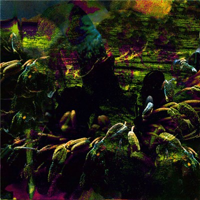 Salamander / Ourobonic Plague - Burst Vessels download mp3 flac