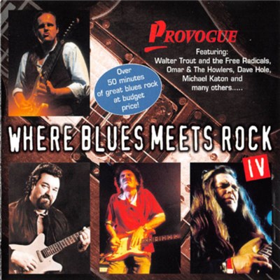 Various - Where Blues Meets Rock IV download mp3 flac