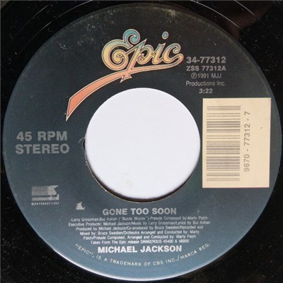 Michael Jackson - Gone Too Soon download mp3 flac