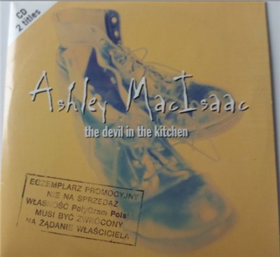 Ashley MacIsaac - The Devil In The Kitchen download mp3 flac