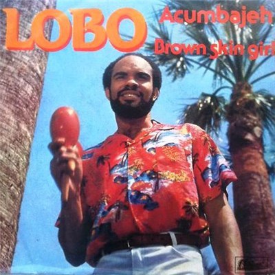 Lobo - Acumbajeh / Brown Skin Girl download mp3 flac