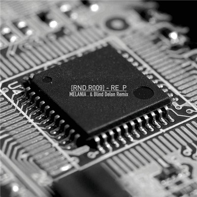 RE_P - Wild Bohemian Party download mp3 flac