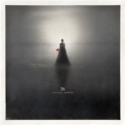 36 - Cocoon / Saphron download mp3 flac