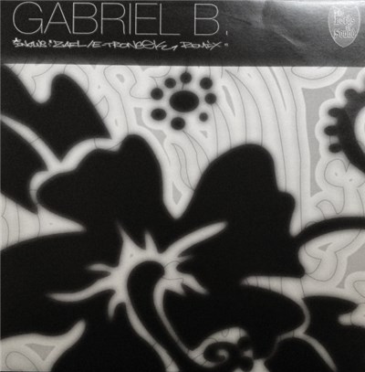 Gabriel B. - Zael (E-Troneek Remix) download mp3 flac