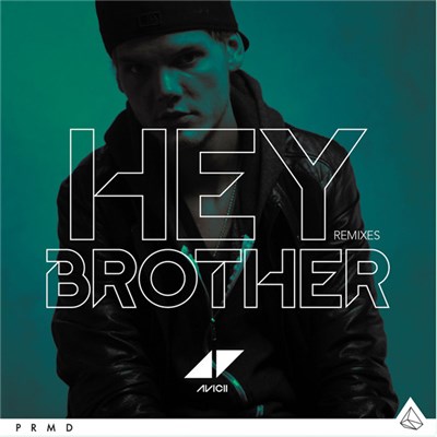 Avicii - Hey Brother (Remixes) download mp3 flac