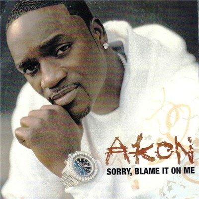 Akon - Sorry, Blame It On Me download mp3 flac