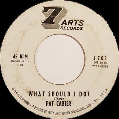 Pat Carter - What Should I Do? download mp3 flac