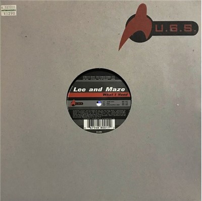 Lee & Maze - What I Need download mp3 flac