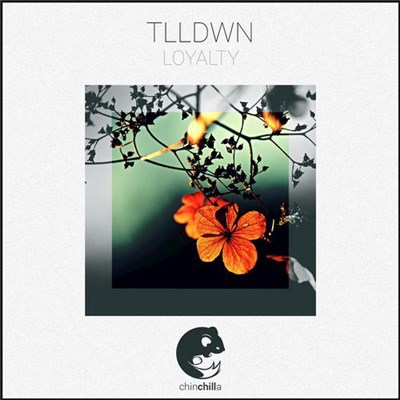 TLLDWN - Loyalty download mp3 flac