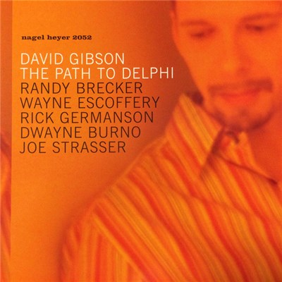 David Gibson - The Path To Delphi download mp3 flac