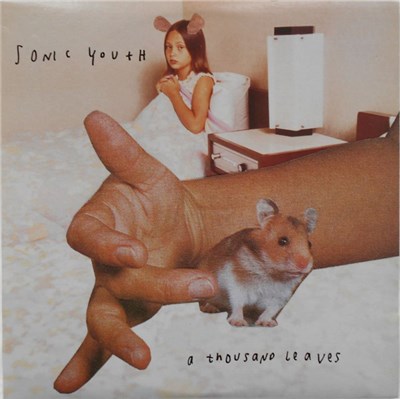 Sonic Youth - A Thousand Leaves download mp3 flac