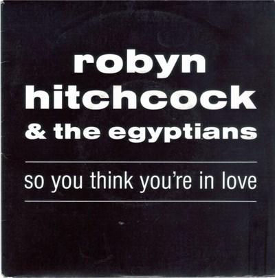 Robyn Hitchcock & The Egyptians - So You Think You're In Love download mp3 flac