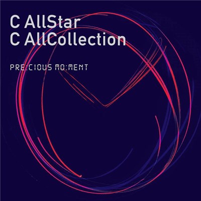 C AllStar - 此刻無價 C AllCollection download mp3 flac