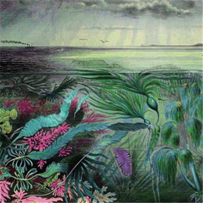 Animal Hospital - Good Or Plenty, Streets + Avenues download mp3 flac