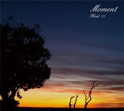 Float 11 - Moment download mp3 flac