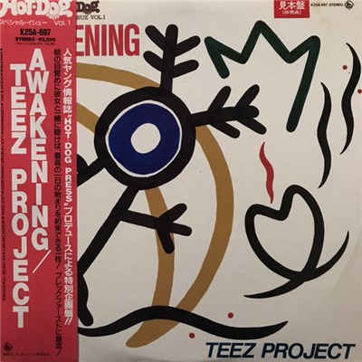 Teez Project - Awakening download mp3 flac