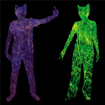 PXL - POETRICKS download mp3 flac