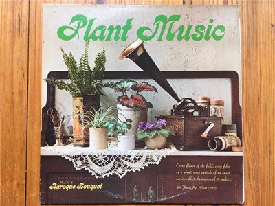 Baroque Bouquet - Plant Music download mp3 flac