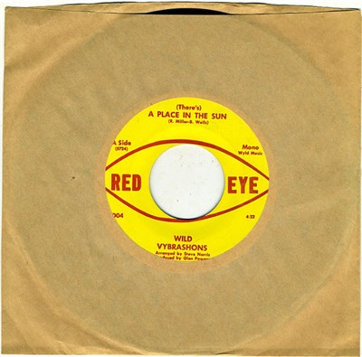 Wild Vybrashons - A Place In The Sun download mp3 flac