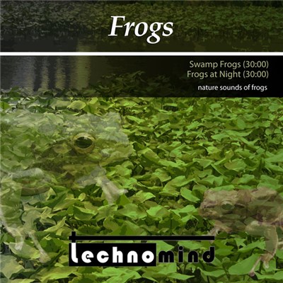 technomind - Frogs download mp3 flac