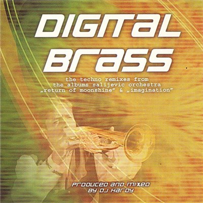 Salijevic Orchestra By DJ Hardy - Digital Brass download mp3 flac