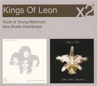 Kings Of Leon - Youth & Young Manhood / Aha Shake Heartbreak download mp3 flac