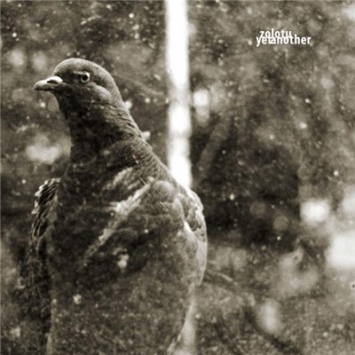 Zolotu - Yet Another download mp3 flac