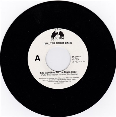 Walter Trout Band - Say Goodbye To The Blues download mp3 flac