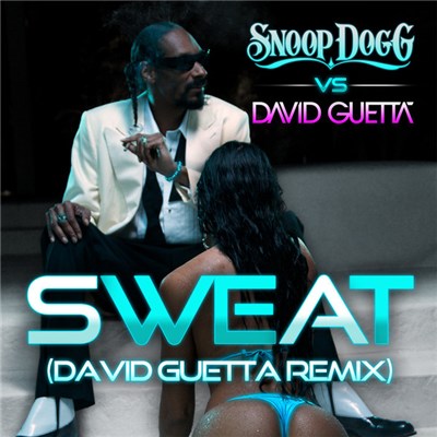 Snoop Dogg Vs David Guetta - Sweat (David Guetta Remix) download mp3 flac
