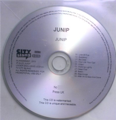 Junip - Junip download mp3 flac