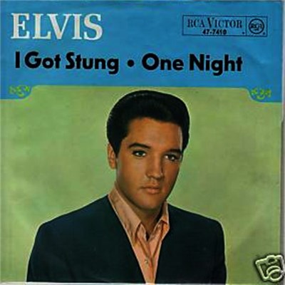 Elvis Presley - I Got Stung download mp3 flac
