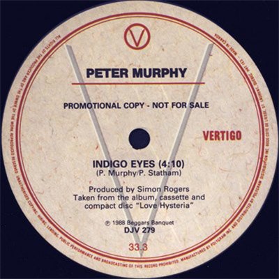 Peter Murphy - Indigo Eyes download mp3 flac