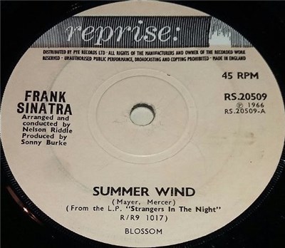 Frank Sinatra - Summer Wind / You Make Me Feel So Young download mp3 flac