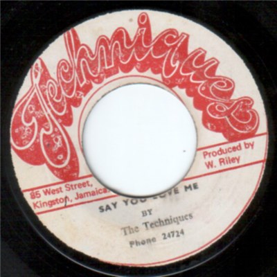 The Techniques - Say You Love Me download mp3 flac